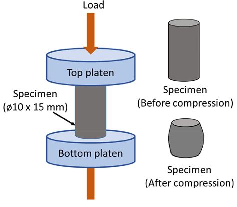 compression test elastomer|compression test diagram.